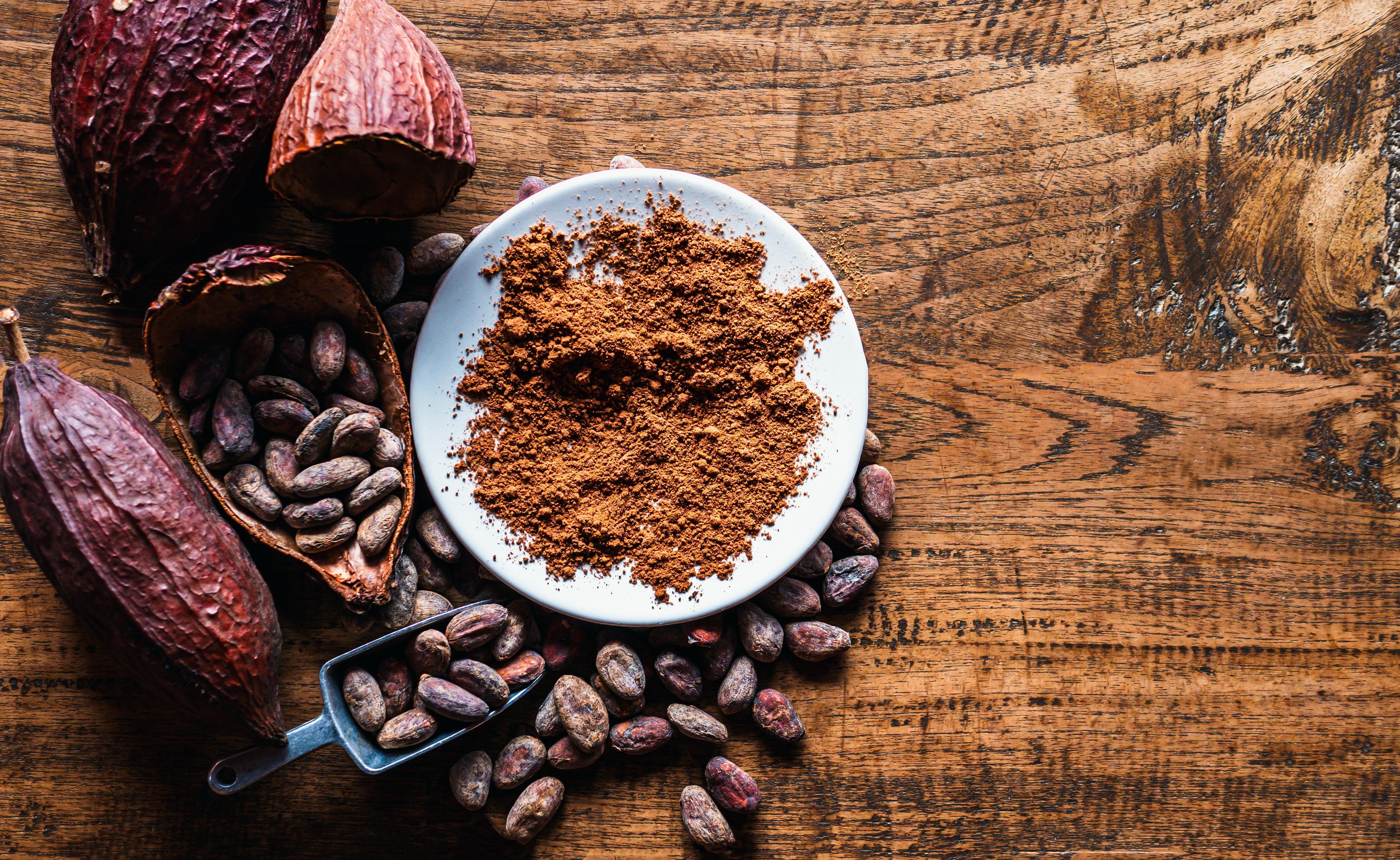 Cocoa Powder