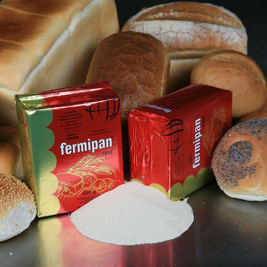 20X500G FERMIPAN RED YEAST
